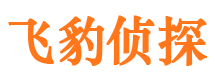 鸡西出轨调查